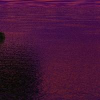 dawn2x4.jpg